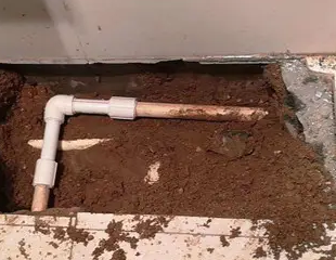 郑州市测漏水哪家好