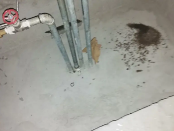 郑州市卫生间测漏水价格明细