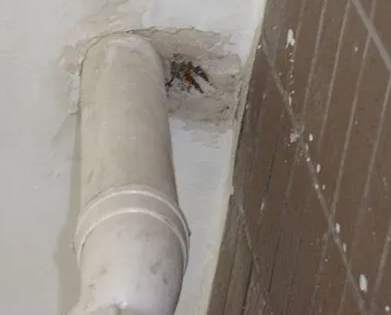 郑州市漏水检测哪家好